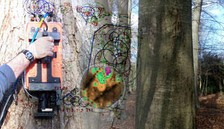 Tree Radar